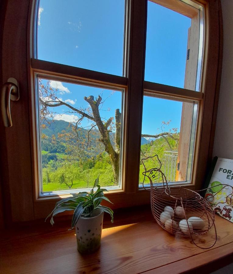 B&B Chalet Dolomiti Sant'Orsola Екстериор снимка