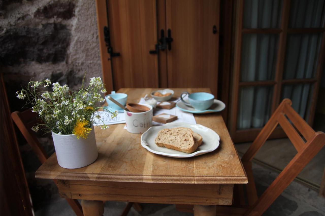 B&B Chalet Dolomiti Sant'Orsola Екстериор снимка