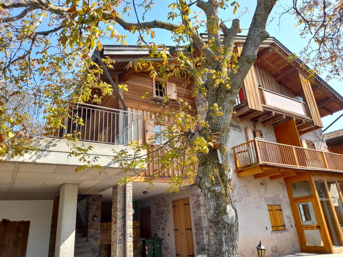 B&B Chalet Dolomiti Sant'Orsola Екстериор снимка