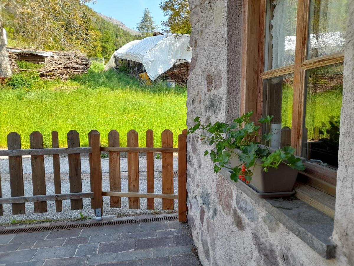 B&B Chalet Dolomiti Sant'Orsola Екстериор снимка