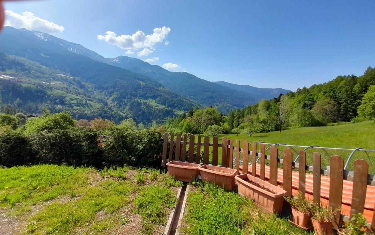 B&B Chalet Dolomiti Sant'Orsola Екстериор снимка