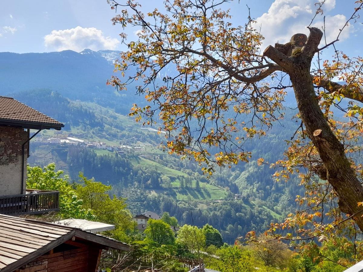 B&B Chalet Dolomiti Sant'Orsola Екстериор снимка