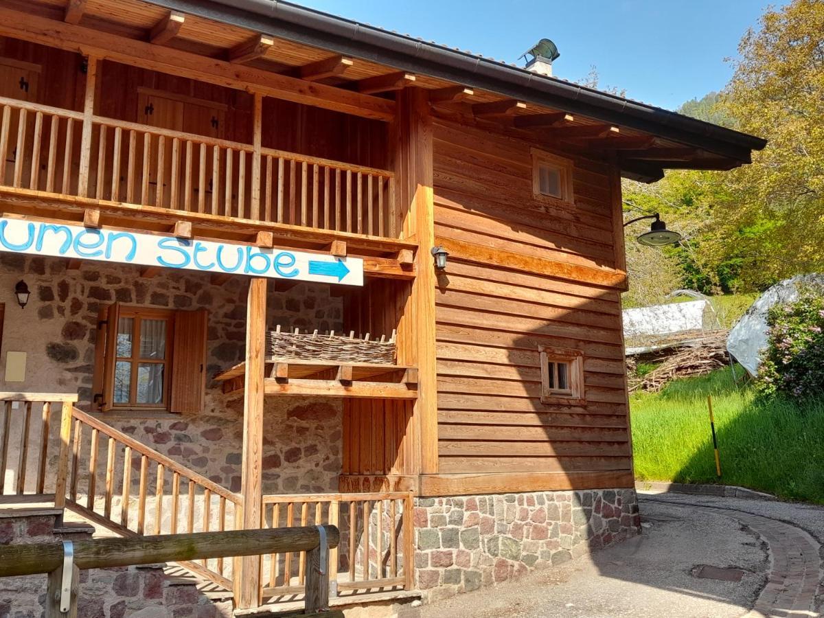 B&B Chalet Dolomiti Sant'Orsola Екстериор снимка