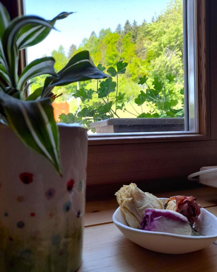 B&B Chalet Dolomiti Sant'Orsola Екстериор снимка