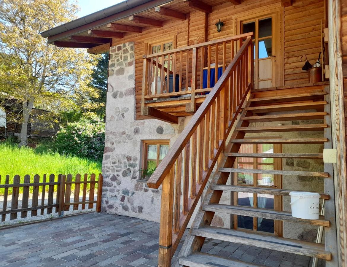 B&B Chalet Dolomiti Sant'Orsola Екстериор снимка