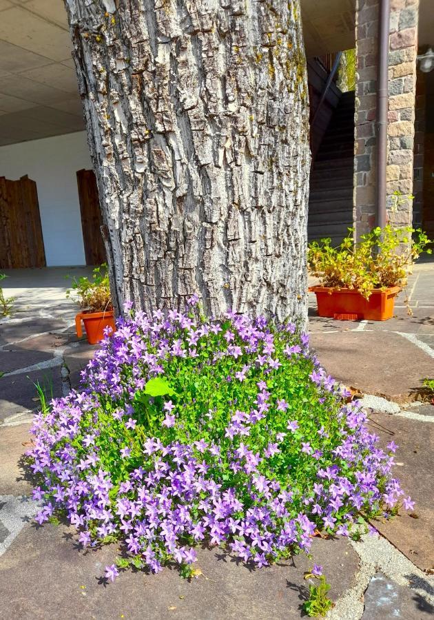 B&B Chalet Dolomiti Sant'Orsola Екстериор снимка