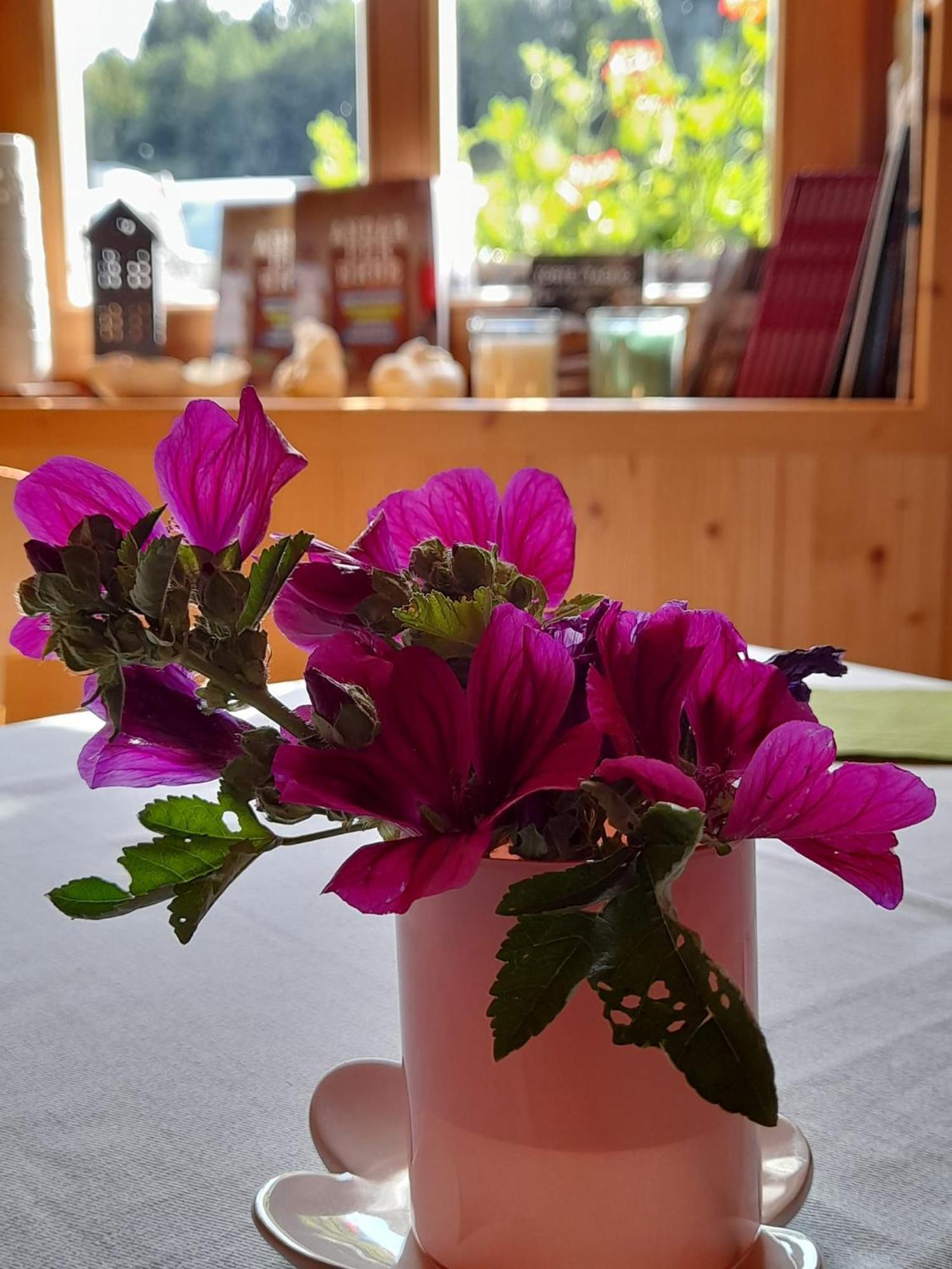 B&B Chalet Dolomiti Sant'Orsola Екстериор снимка